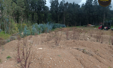 Terreno de venta en Ochoa Léon – código:21858