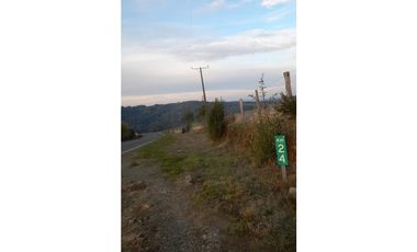 SE VENDE HERMOSO CAMPO 60 HECTAREAS SECTOR LOS MUERMOS, PTO. MONTT
