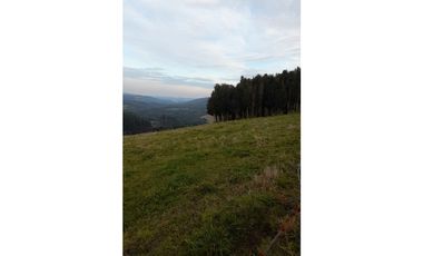 SE VENDE HERMOSO CAMPO 60 HECTAREAS SECTOR LOS MUERMOS, PTO. MONTT