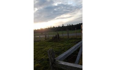 SE VENDE HERMOSO CAMPO 60 HECTAREAS SECTOR LOS MUERMOS, PTO. MONTT