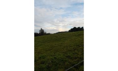 SE VENDE HERMOSO CAMPO 60 HECTAREAS SECTOR LOS MUERMOS, PTO. MONTT