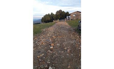 SE VENDE HERMOSO CAMPO 60 HECTAREAS SECTOR LOS MUERMOS, PTO. MONTT