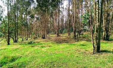 SE VENDE HERMOSO CAMPO   QUICHAMAHUIDA - TRAIGUEN