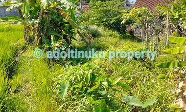 Tanah sawah produktif tepi jalan provinsi, sawangan, magelang