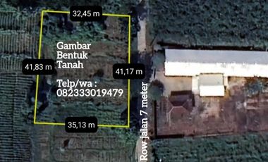 Tanah pinggir jalan cocok di buat kandang sapi, kambing, ayam