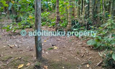 Tanah murah akses mobil di mertoyudan magelang