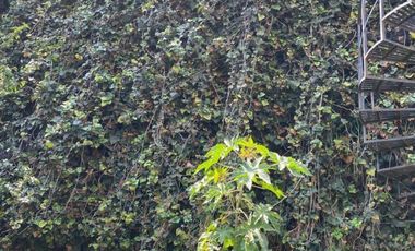 Terreno en Renta Naucalpan , Loma Colorada
