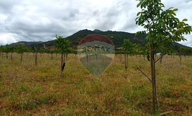 Terreno en Colchagua