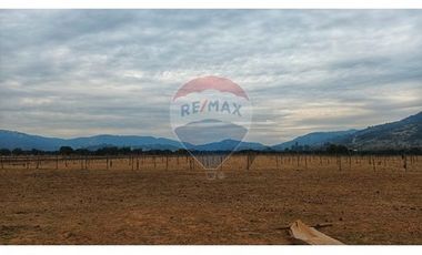 Terreno en Colchagua