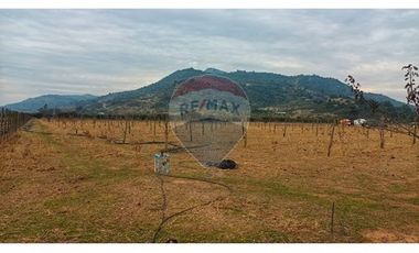 Terreno en Colchagua