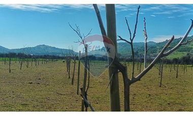 Terreno en Colchagua