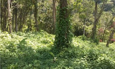 Lote en venta, San Jerónimo, Antioquia, Colombia.