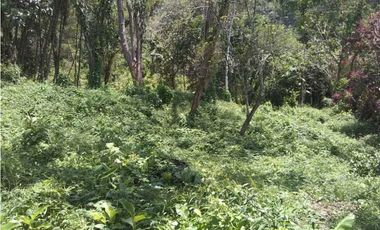 Lote en venta, San Jerónimo, Antioquia, Colombia.