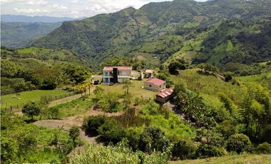 finca nocaima