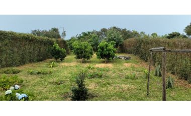 SE VENDE PARCELA EN LA MESA DE LOS SANTOS