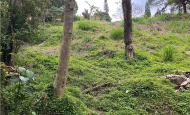 Lote en venta en El Poblado, Los Balsos