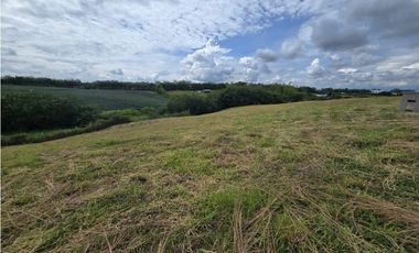 VENTA LOTE VA CERRITOS LA VIRGINIA PEREIRA