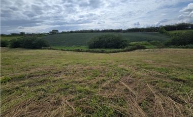 VENTA LOTE VA CERRITOS LA VIRGINIA PEREIRA