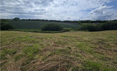 VENTA LOTE VA CERRITOS LA VIRGINIA PEREIRA