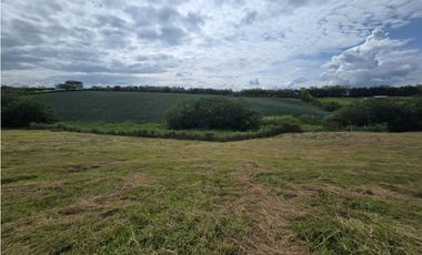 VENTA LOTE VA CERRITOS LA VIRGINIA PEREIRA