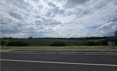 VENTA LOTE VA CERRITOS LA VIRGINIA PEREIRA