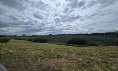 VENTA LOTE VA CERRITOS LA VIRGINIA PEREIRA