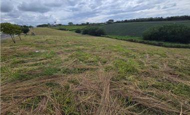 VENTA LOTE VA CERRITOS LA VIRGINIA PEREIRA