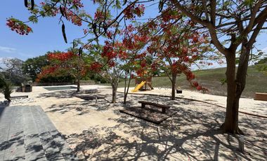 Casa en Venta Punta Tiburon Riviera Veracruzana