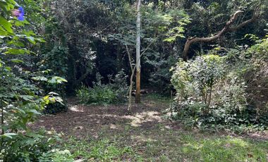 Casa con amplio terreno en Punta Indio