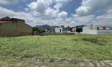 Terreno en venta Colinas Santa Anita