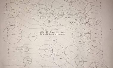 TERRENO EN VENTA OLINALA