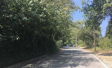 TERRENO EN VENTA OLINALA