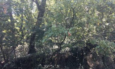 TERRENO EN VENTA OLINALA