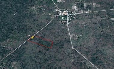 Terrenos de 6 HA en Venta en Hacienda Tamchen