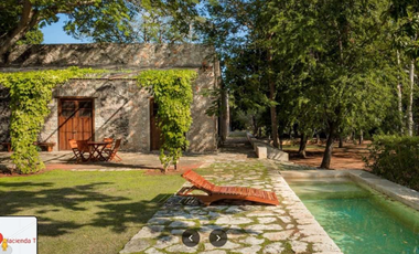 Terrenos de 6 HA en Venta en Hacienda Tamchen