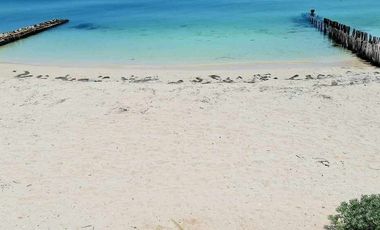 Residencia de lujo frente al mar