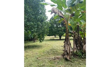 VENTA DE CASA CON TERRENO EN LA MESA DE SAN MARTIN CARRIAZO 4,565 MTS2