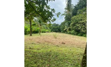 VENTA DE CASA CON TERRENO EN LA MESA DE SAN MARTIN CARRIAZO 4,565 MTS2