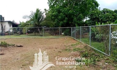 Vendo casa Economica en David