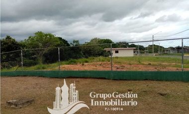 Vendo casa Economica en David