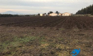PARCELA AGRÍCOLA, de 5.000 m2 SECTOR EL PAICO