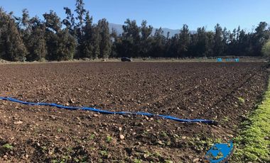 PARCELA AGRÍCOLA, de 5.000 m2 SECTOR EL PAICO