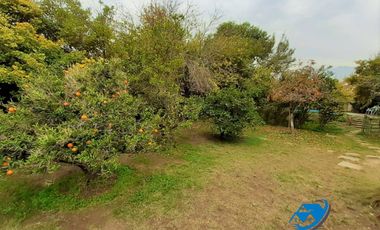 VENTA LINDA CASA EN MACUL CON TERRENO DE 903 M2