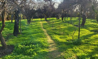 PARCELA CON CASA CAMINO OLMUE