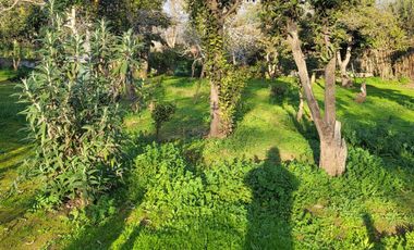 PARCELA CON CASA CAMINO OLMUE