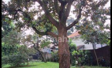 disewakan Rumah Vintage Old Money Di Bogor Luas