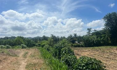 Tanah murah dekat pantai Selong belanak lombok. Cocok untuk villa