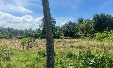 Tanah murah dekat pantai Selong belanak lombok. Cocok untuk villa