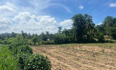 Tanah murah dekat pantai Selong belanak lombok. Cocok untuk villa
