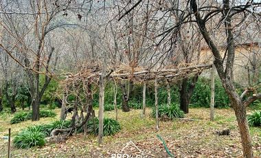 Casa en Venta en Venta de Parcela con 2 Casas, Gran Piscina, Terreno 5.000 m2, Centro San Alfonso